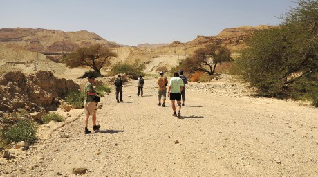 Negevská poušť (2)