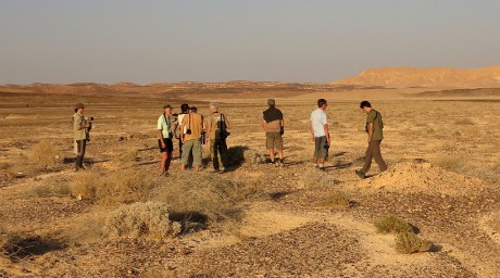 Negevská poušť (6)