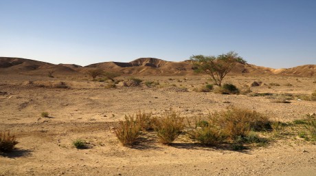 Negevská poušť