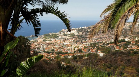 Madeira_2015_07_26 (17)_Funchal_Jardim Botânico da Madeira_pohled k přístavu a na čtvrť Sao Martinho