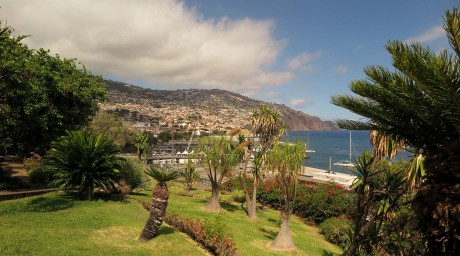 Madeira_2015_07_26 (52)_Funchal_ v parku Santa Catarina