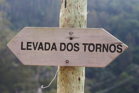 Madeira_2015_07_26_na levádě dos Tornos (2)