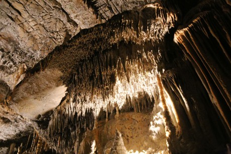 Jeskyně Postojna (42)