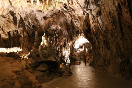 Jeskyně Postojna (47)