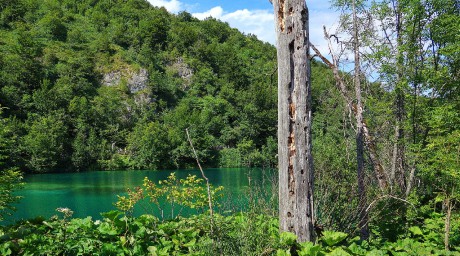 2017_07_Chorvatsko_NP Plitvická jezera (49)