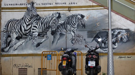 Barcelona_graffiti oslavující solidaritu_pod Parc Guell