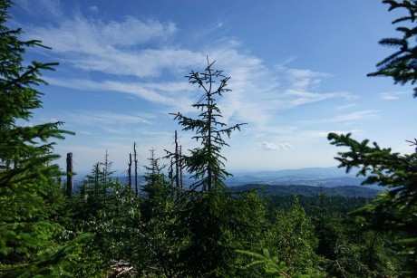 NP Bavorský les_výstup na Luzný (10)