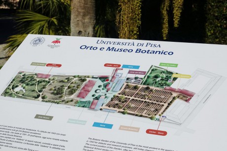 Botanická zahrada a muzeum v Pise (1_1)