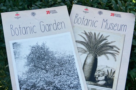 Botanická zahrada a muzeum v Pise (1_2)