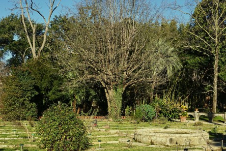 Botanická zahrada a muzeum v Pise (15)