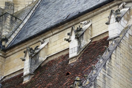 Dijon_Kostel sv. Michaela Archanděla_exteriéry (13)