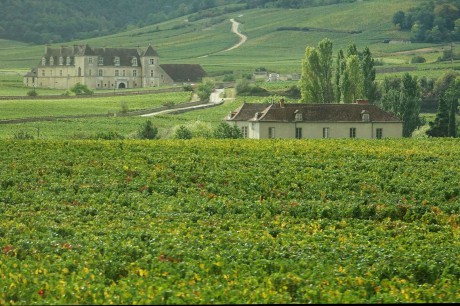 Burgundsko_vinařská oblast_Côte de Nuits (2)