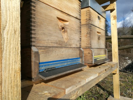 Stavba včelína ve Svobodě nad Úpou-0040