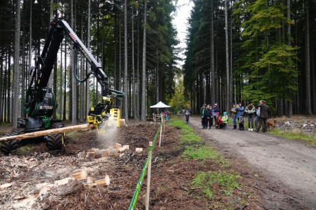 Den za obnovu lesa_Hájemství_2021 (024)