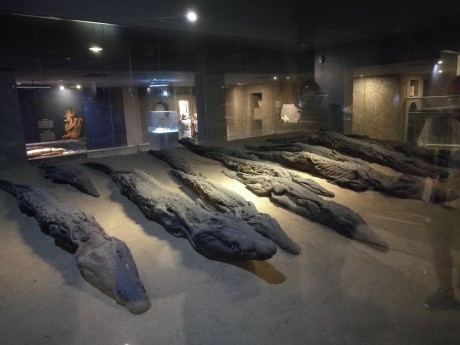 Kóm Ombo - krokodýlí muzeum-0001