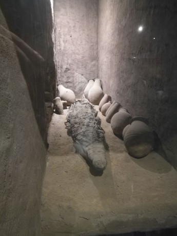 Kóm Ombo - krokodýlí muzeum-0005