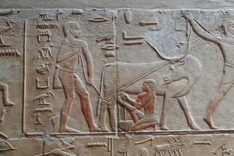 Sakkára - nekropole - Tetiho pyramidový komplex - hrobka Kagemniho-0009