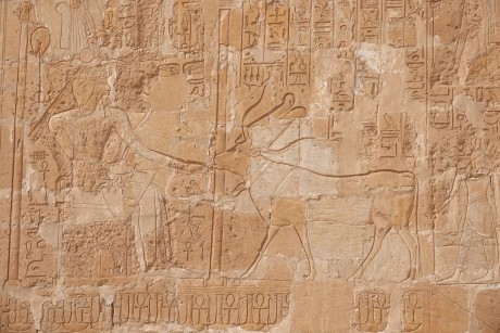 Dér el-Bahrí - chrám královny Hatšepsut-0016