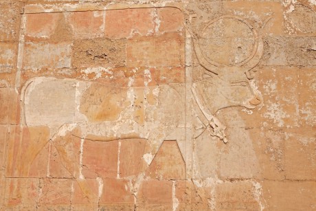 Dér el-Bahrí - chrám královny Hatšepsut-0017