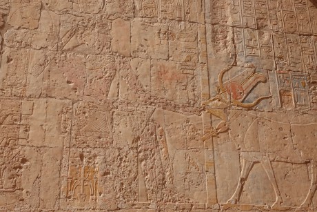 Dér el-Bahrí - chrám královny Hatšepsut-0023