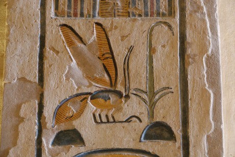 Údolí králů - Ramesse IX-0007