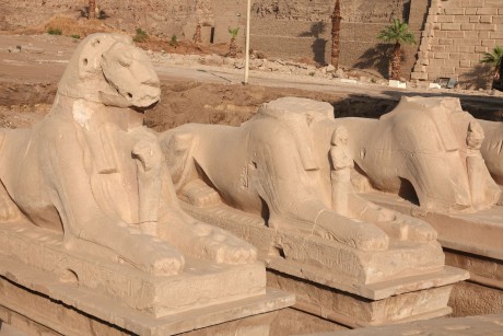 Luxor - chrám v Karnaku-0017