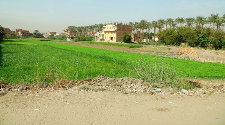 Egypt-zemědělství v údolí Nilu-0001