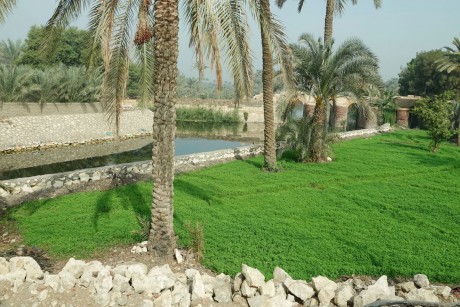 Egypt-zemědělství v údolí Nilu-0004