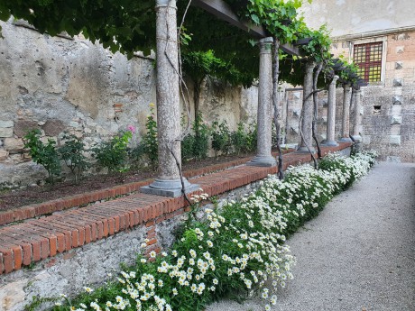 Trento_hrad Buonconsiglio a jeho zahrady-2022-07-0005