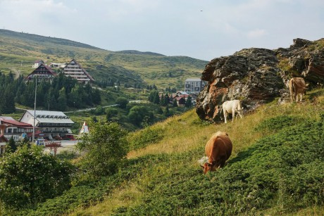 Severní Makedonie_Šar Planina_Popova šapka-2019-07-0010