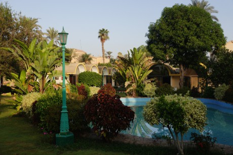 Egypt_Káhira_Gíza_zahrada hotelu Oasis_2022_10_0001 (3)