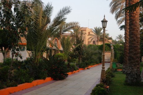 Egypt_Káhira_Gíza_zahrada hotelu Oasis_2022_10_0001 (6)