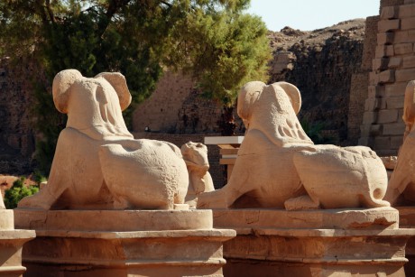 Egypt_Luxor_Chrám v Karnaku_2022_10_0014