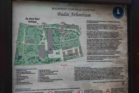 Arboretum Buda (001)_result