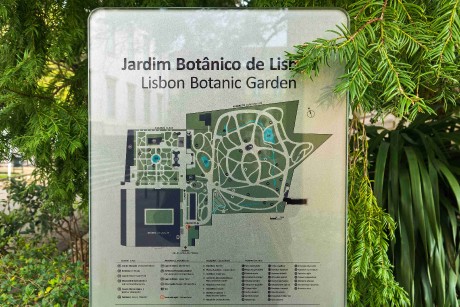 Lisabon_botanická zahrada_2024_03_14_0002_result