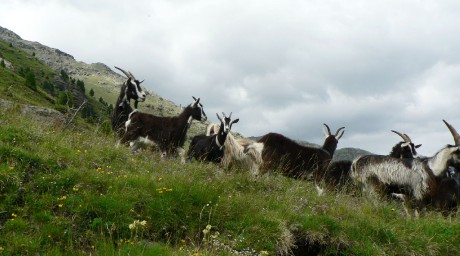 Rhétské Alpy 2012 (64)