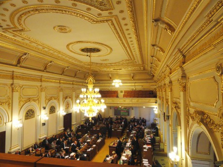 Poslanecká zněmovna (1)