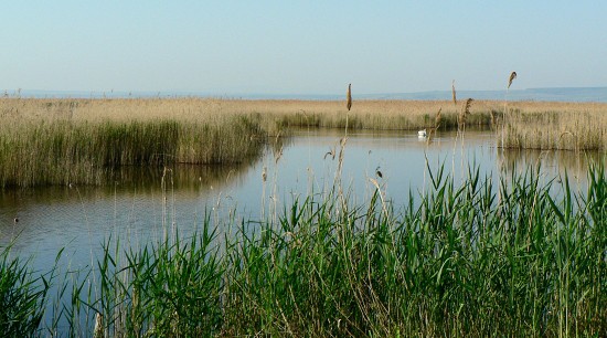 Neziderské jezero