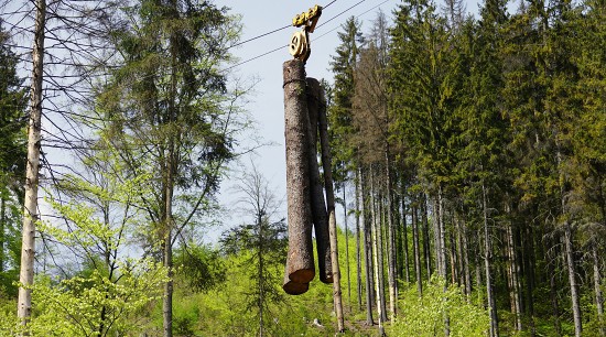 Česká lesnická akademie Trutnov - lanovka LARIX 3T