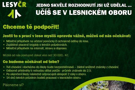 Stipendia Lesů České republiky pro učně