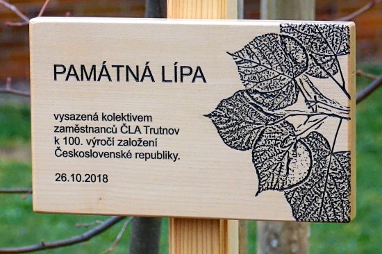 ČLA Trutnov - výsadba památné lípy na školním polesí