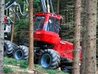 Pěstování lesa pro operátory TDS